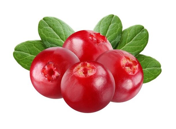 Cranberry - the composition of Uromexil