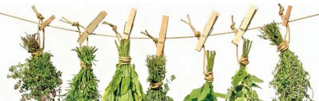 An effective herb from prostatitis
