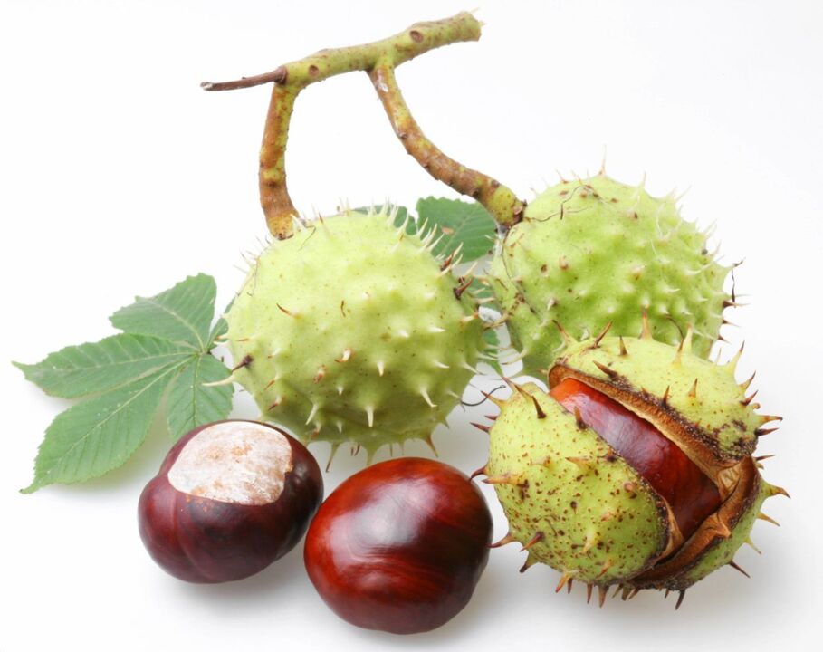 Chestnut shell for the treatment of prostatitis
